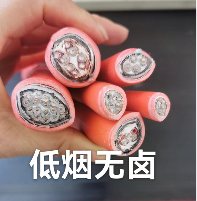 WDZB-RS485-YP1YR 1*2*0.75      WDZ-STP