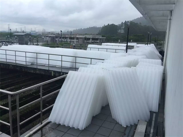 src=http___www src=http___www