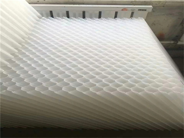 src=http___waakuup src=http___waakuup