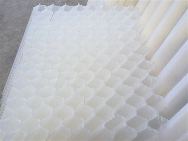 src=http___image src=http___image