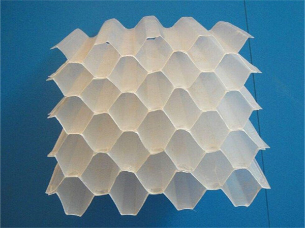 src=http___img3 src=http___img3